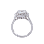 Round Brilliant Cut Moissanite Halo Split Pavé Platinum Ring