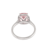 Cushion Cut Pink Sapphire Halo Pavé White Gold Ring